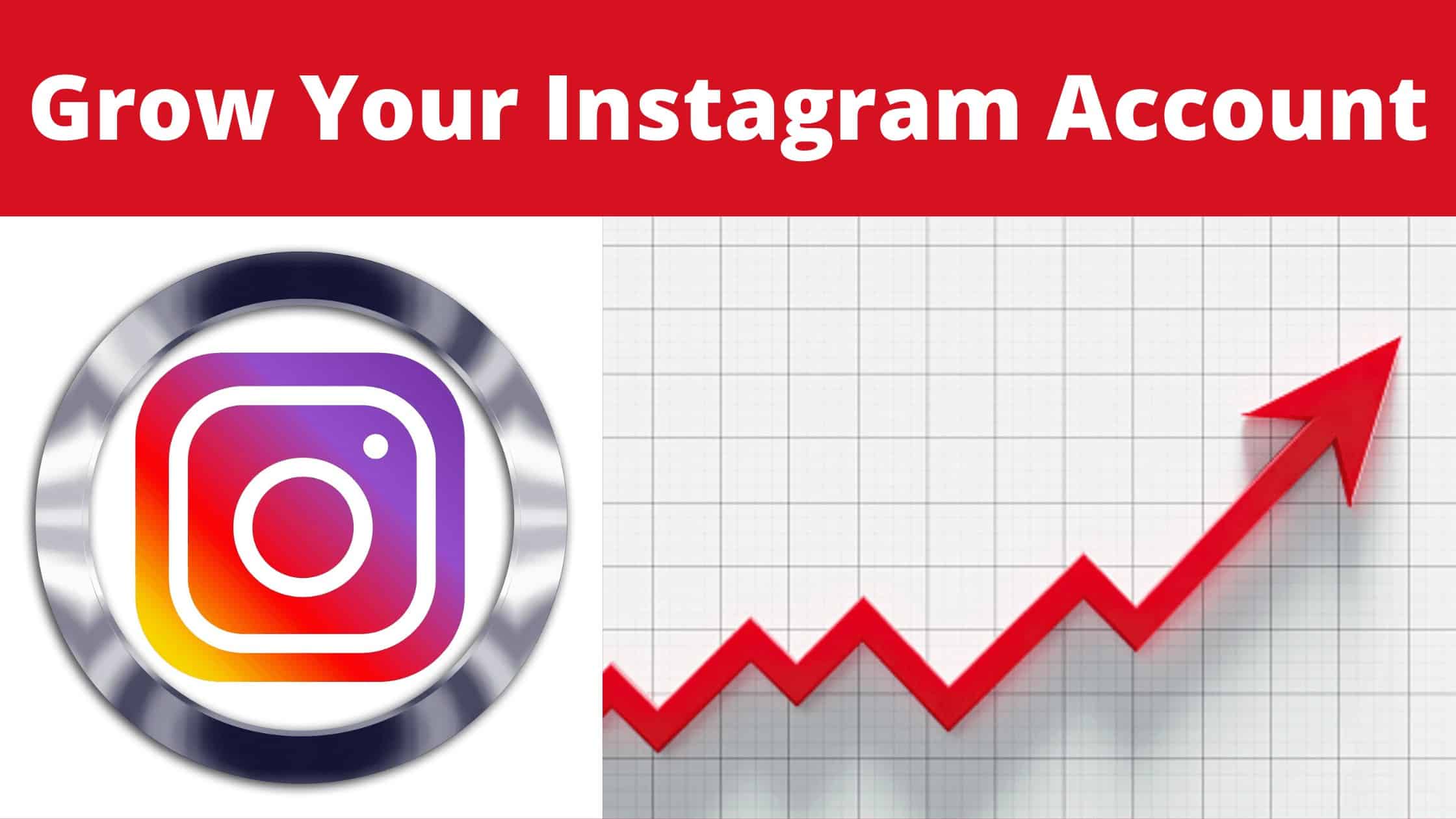How to grow an Instagram account from scratch