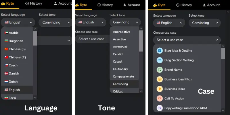 Rytr AI Writing Tool Language tone case