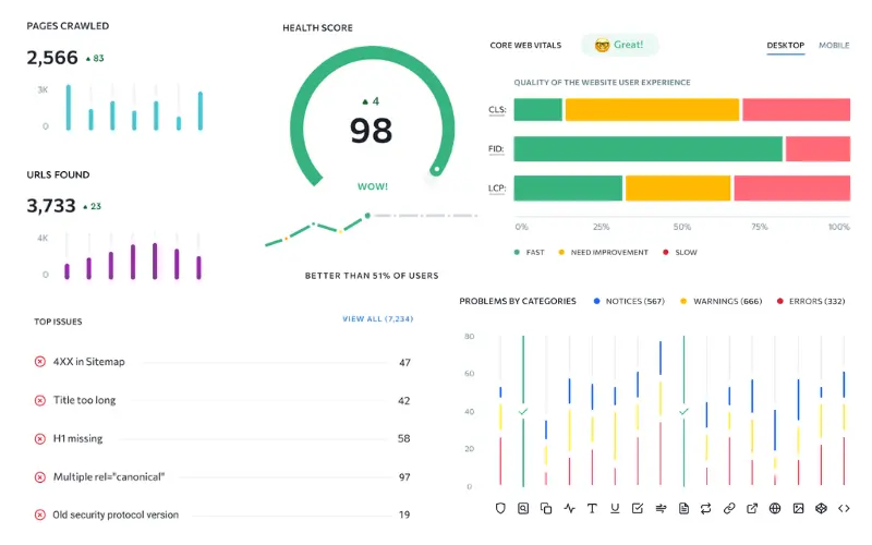 Website audit