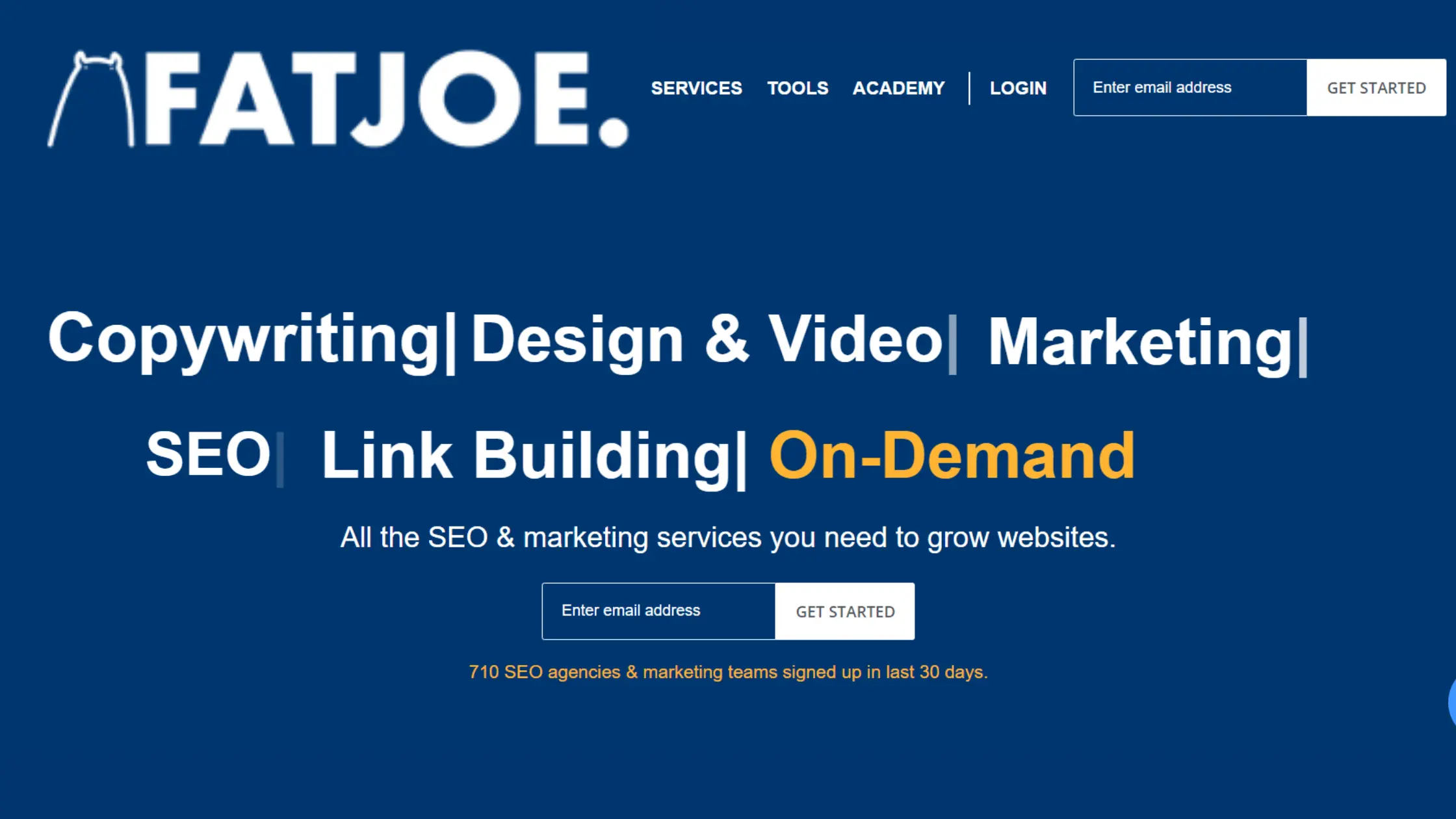 FatJoe Review - SEO and Marketing Services