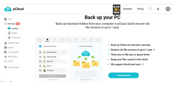 pCloud Backup