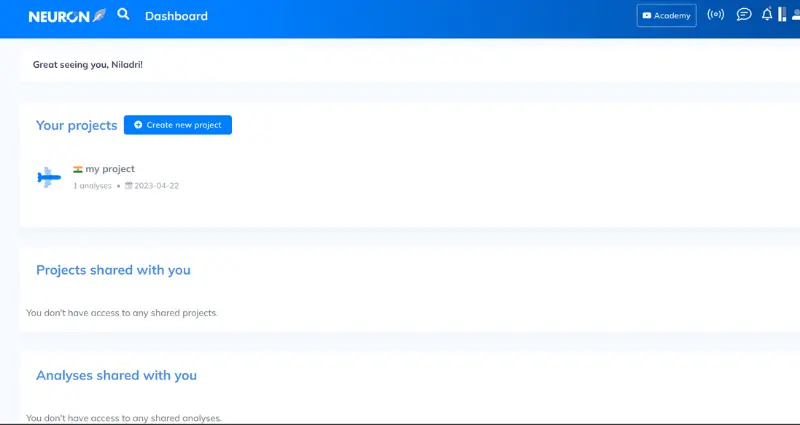 Neuron Writer user Interface